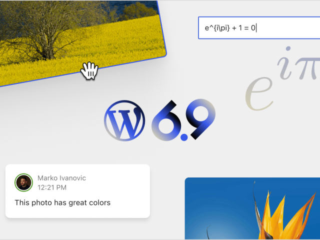 photo of WordPress website beheren